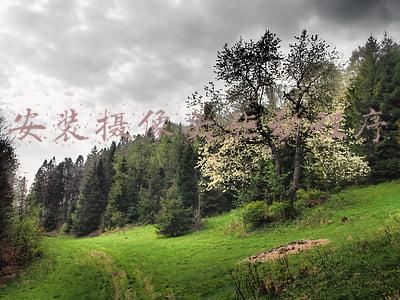 安装摄像头驱动程序