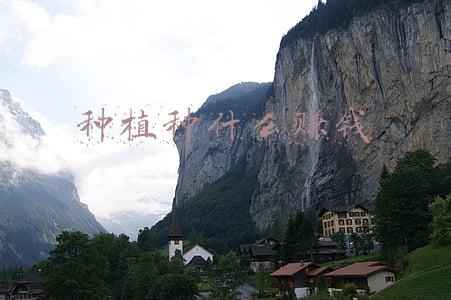 种植种什么赚钱