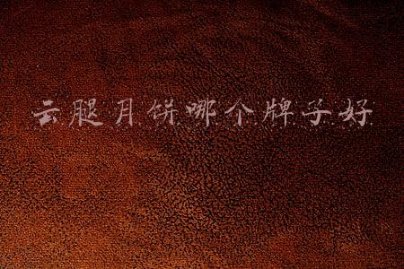 云腿月饼哪个牌子好