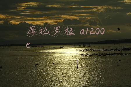 摩托罗拉a1200e手机参数(我人生的第一部手机是西门子3568i，你的呢？)