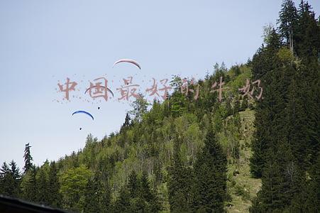 中国最好的牛奶