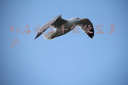 去4s店试驾车需要花钱吗-去4s店试驾车要不要钱
