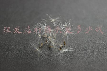 一般理发店剪发价格表怎么看-一般理发店剪发价格表