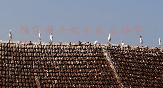 福字图片大全敬业福字体