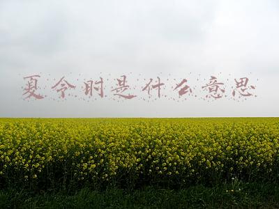 星盘夏令时是什么意思(这篇文章，教你快速了解你的个人星盘，以及你自己，和你的TA)