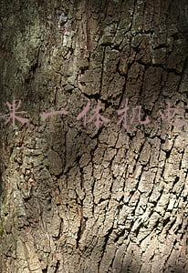 苹果一体机电脑