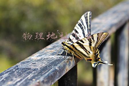 物理地址怎么查