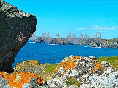 番禺野生动物园攻略(番禺长隆野生动物园，如何在一天之内游完，不用住酒店的省钱攻略)