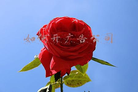 如何开广告公司 如何开广告公司