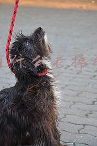 为什么老掉线