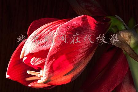 北京时间在线校准