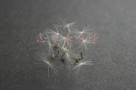 怎么去水印