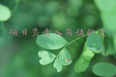 项目负责人岗位职责是什么(工程项目部岗位职责大全，项目经理必备)