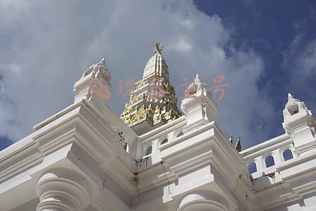 处理器型号是什么意思(电脑知识之处理器（CPU篇）)