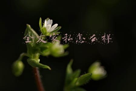 全友家私怎么样全友家私这个品牌(全友靠谱吗？深耕家居文化为用户带去更温馨的品质生活)