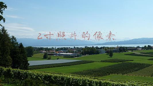 2寸照片的像素是多少(156人！河南省直机关公开遴选公务员)