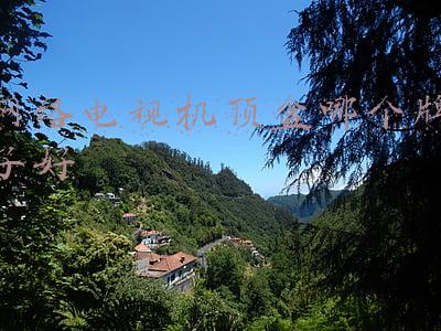网络电视机顶盒哪个牌子好