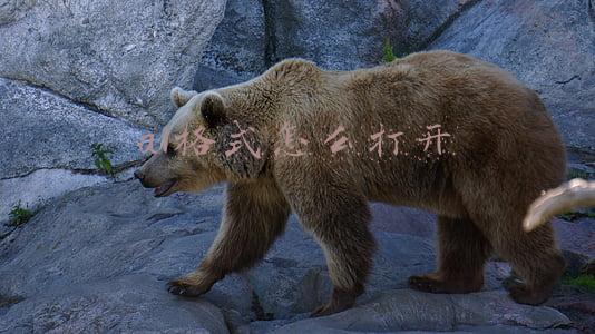 ai格式怎么打开