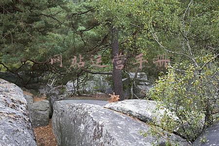 网站维护手册(鄄城农商银行：编制网络维护手册，解决系统维护困扰)