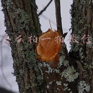 怎么拍一拍微信加文字(微信的拍一拍功能怎么给自己加文字？掌握它，日常拍一拍更好玩)