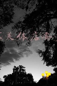学美容美体的学校-美容美体专业学校