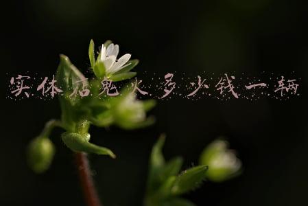 二手鬼火大概多少钱一辆(二手鬼火多少钱一台)