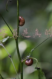 真的有打字员的工作吗(高薪聘请网络兼职打字员和刷单员？不用看，都是骗局！)