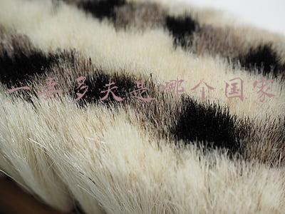 一妻多夫是哪个国家 法律规定(南非政府提案一妻多夫制，孩子算谁的成最大争议！学者迅速给答案)
