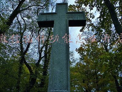 安卓微信插件功能怎么开启(微信 8.0.17 安卓内测版发布，新增这些功能，附内测入口)