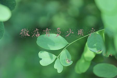 微店推广方式有哪些 微店有哪些方式可以进行推广