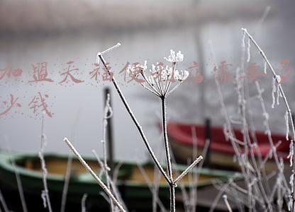 天福便利店好做吗(天福便利店)