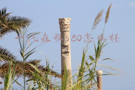 森雅s80论坛汽车之家(3月底上市/8款车型 曝新款森雅S80配置)