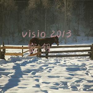microsoft visio 2013密钥(网店销售计算机软件激活码被罚)
