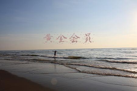 黄金会员
