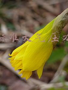 标准大气压力