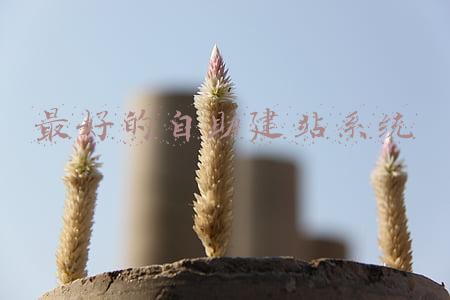 企业自助建站(妥妥网站建设：企业自助建站的优点)