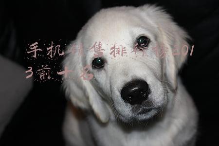 手机销售排行榜2013前十名