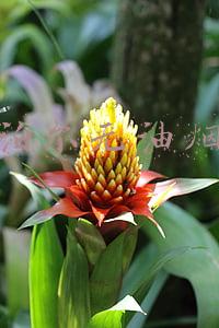 苏泊尔无油烟锅