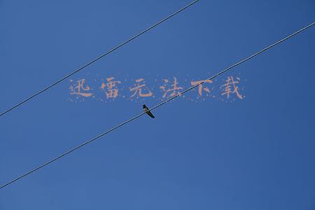 迅雷无法下载应版权方要求(迅雷提示“应版权方要求”，限制下载如何解决)
