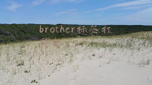 brother标签打印机怎么调整字体大小(99岁版本目录学家，一辈子“泡”在图书馆，被誉为“古籍活字典”)