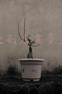 见福便利店有多少利润