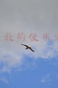 if函数的使用方法大于或等于(IF函数讲的这么详细，你还学不会我真没辙了)