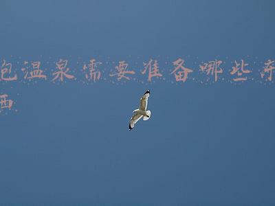泡温泉需要准备哪些东西