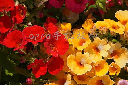 oppo手机报价大全最新报价(1300元左右2款OPPO手机，物超所值，不再高价低配了)