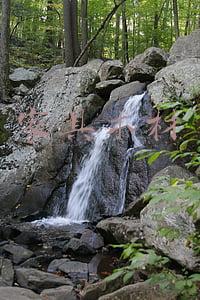 家具木材
