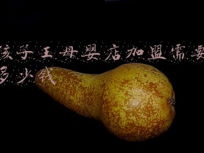 宝宝王国进口母婴加盟 孩子王母婴店加盟