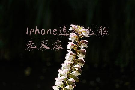 iphone连接电脑无反应