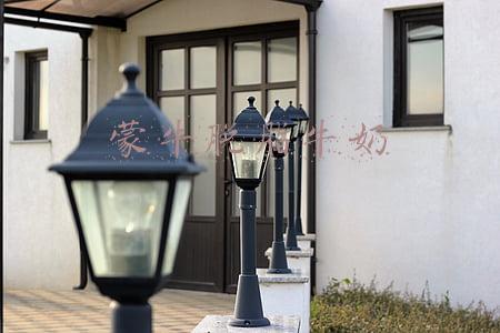 蒙牛脱脂牛奶可以减肥吗(深度解读“深扒蒙牛、伊利罪状”之二，奶真的越喝越没奶味吗)
