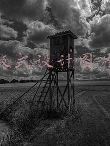 版式设计图片排版(还不会排版？掌握版面设计编排模式)