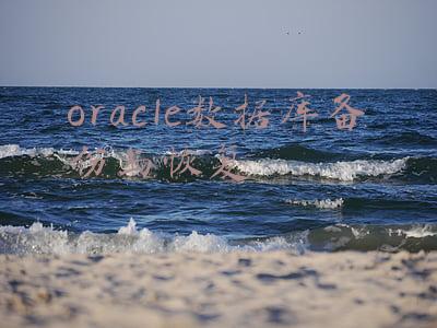 oracle数据库备份与恢复命令(Oracle数据库备份还原工具——rman)